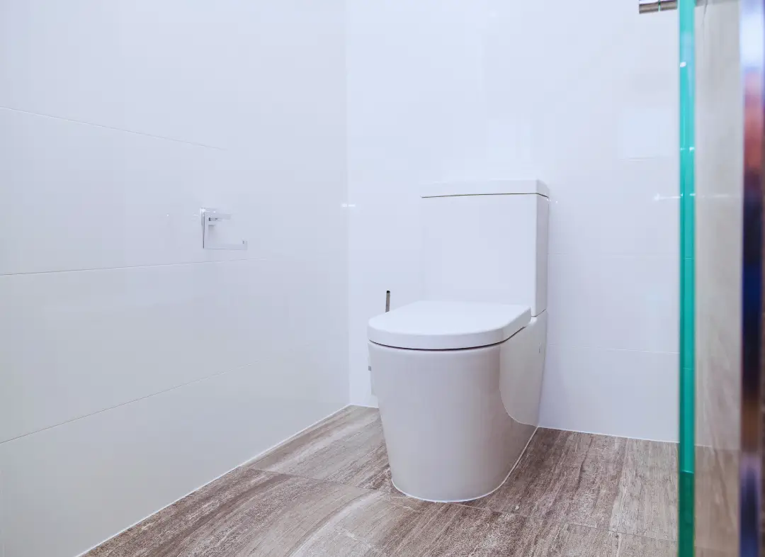 Remplacement de wc Le Tignet